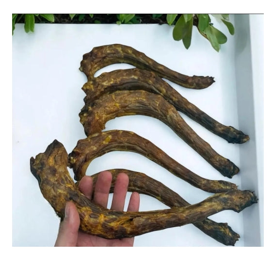 Premium Air-Dried Turkey Necks – Healthy, Long-Lasting Dog Treats (2 Large Necks)