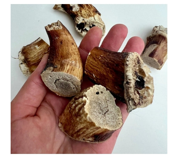 100% Natural Organic Lamb Horn Marrow – Luxury Icelandic Stress-Relief Treat for Dogs
