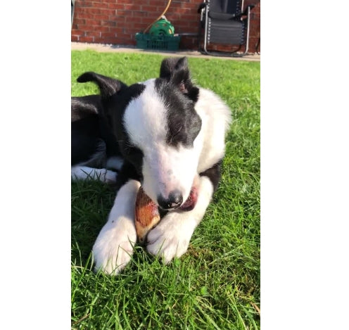 100% Natural Organic Lamb Horn Marrow – Luxury Icelandic Stress-Relief Treat for Dogs