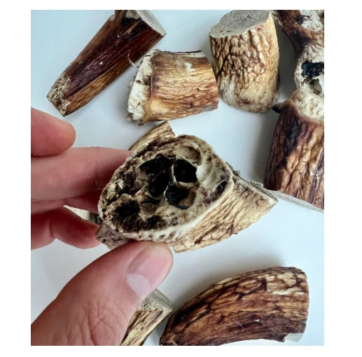 100% Natural Organic Lamb Horn Marrow – Luxury Icelandic Stress-Relief Treat for Dogs