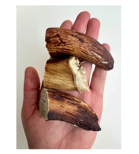 100% Natural Organic Lamb Horn Marrow – Luxury Icelandic Stress-Relief Treat for Dogs