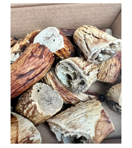 100% Natural Organic Lamb Horn Marrow – Luxury Icelandic Stress-Relief Treat for Dogs