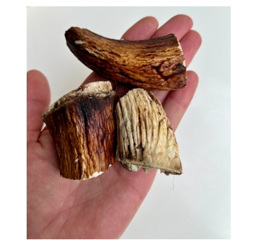 100% Natural Organic Lamb Horn Marrow – Luxury Icelandic Stress-Relief Treat for Dogs