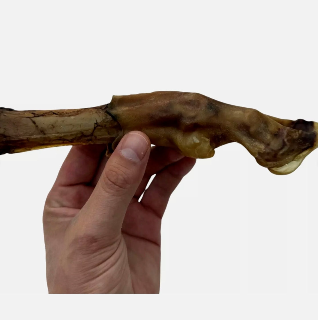100% Natural Air-Dried Bold Lamb Feet & Leg Bone – Long-Lasting Organic Dog Chew