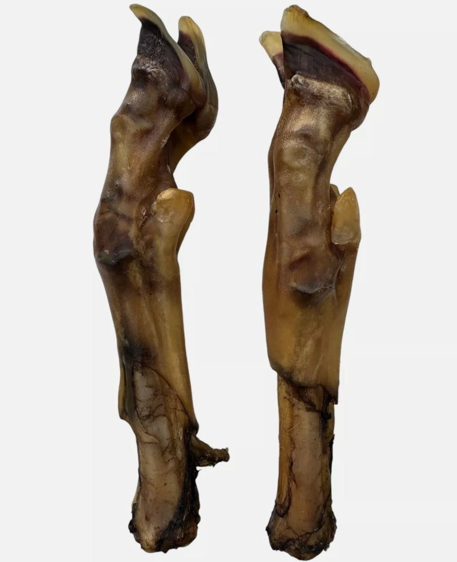 100% Natural Air-Dried Bold Lamb Feet & Leg Bone – Long-Lasting Organic Dog Chew