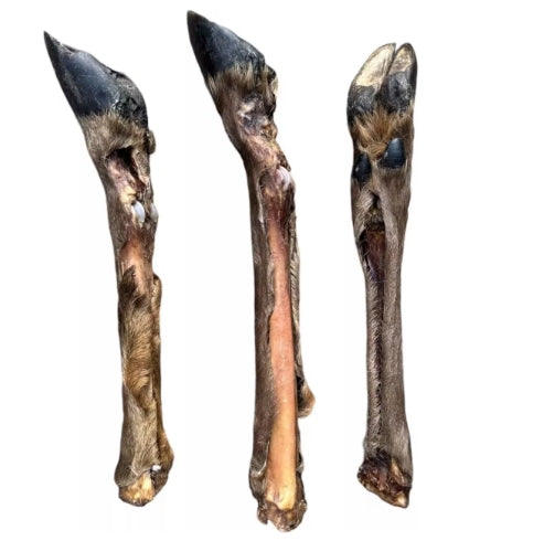 Extra Large Hairy Deer Leg – 100% Natural & Organic Long-Lasting Dog Chew (18'')