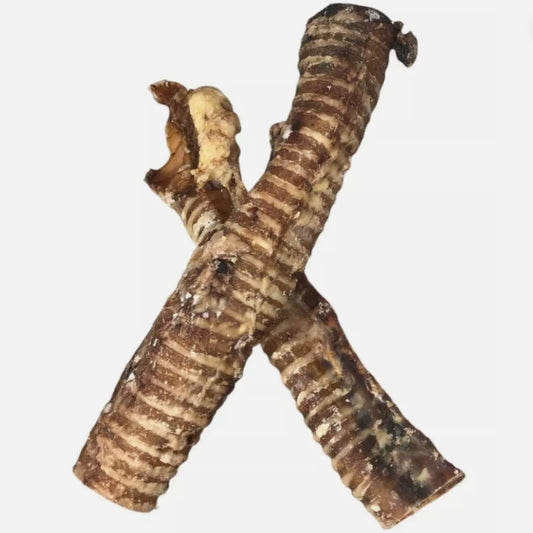 Premium-Grade Large Beef Trachea – Natural, Air-Dried Chew Treat for Dogs