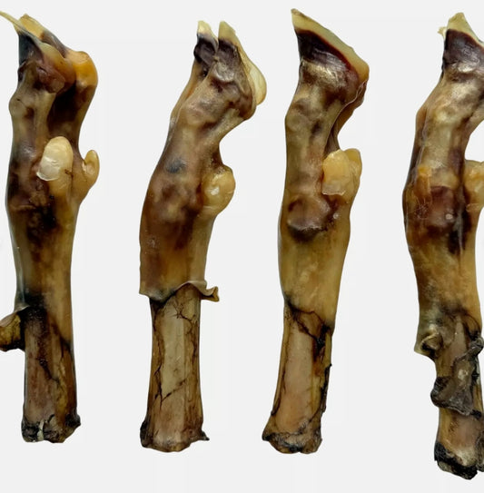 100% Natural Air-Dried Bold Lamb Feet & Leg Bone – Long-Lasting Organic Dog Chew